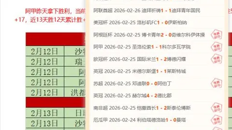 2025中超赛季最佳球员花落武磊